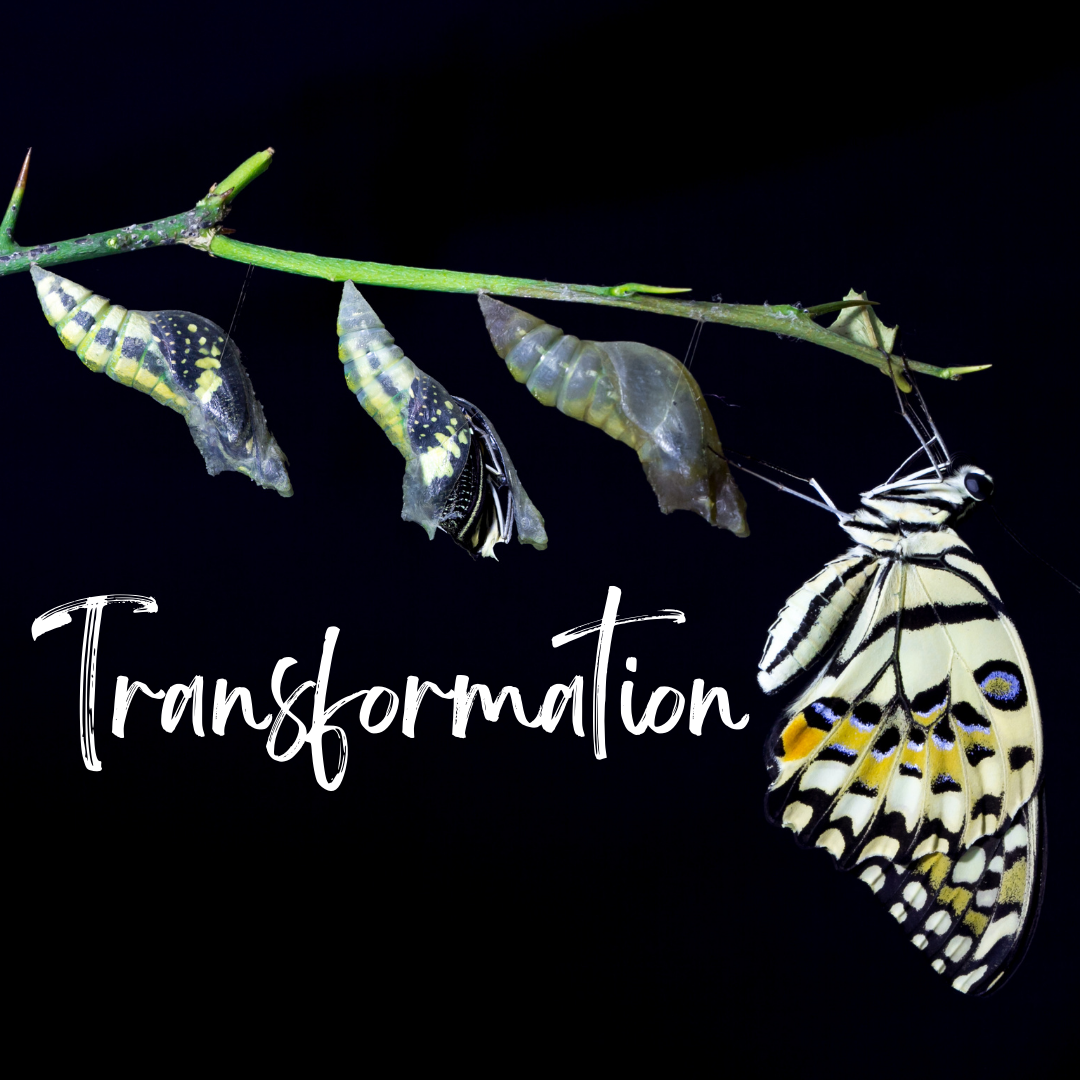 Transformation Sermon Series