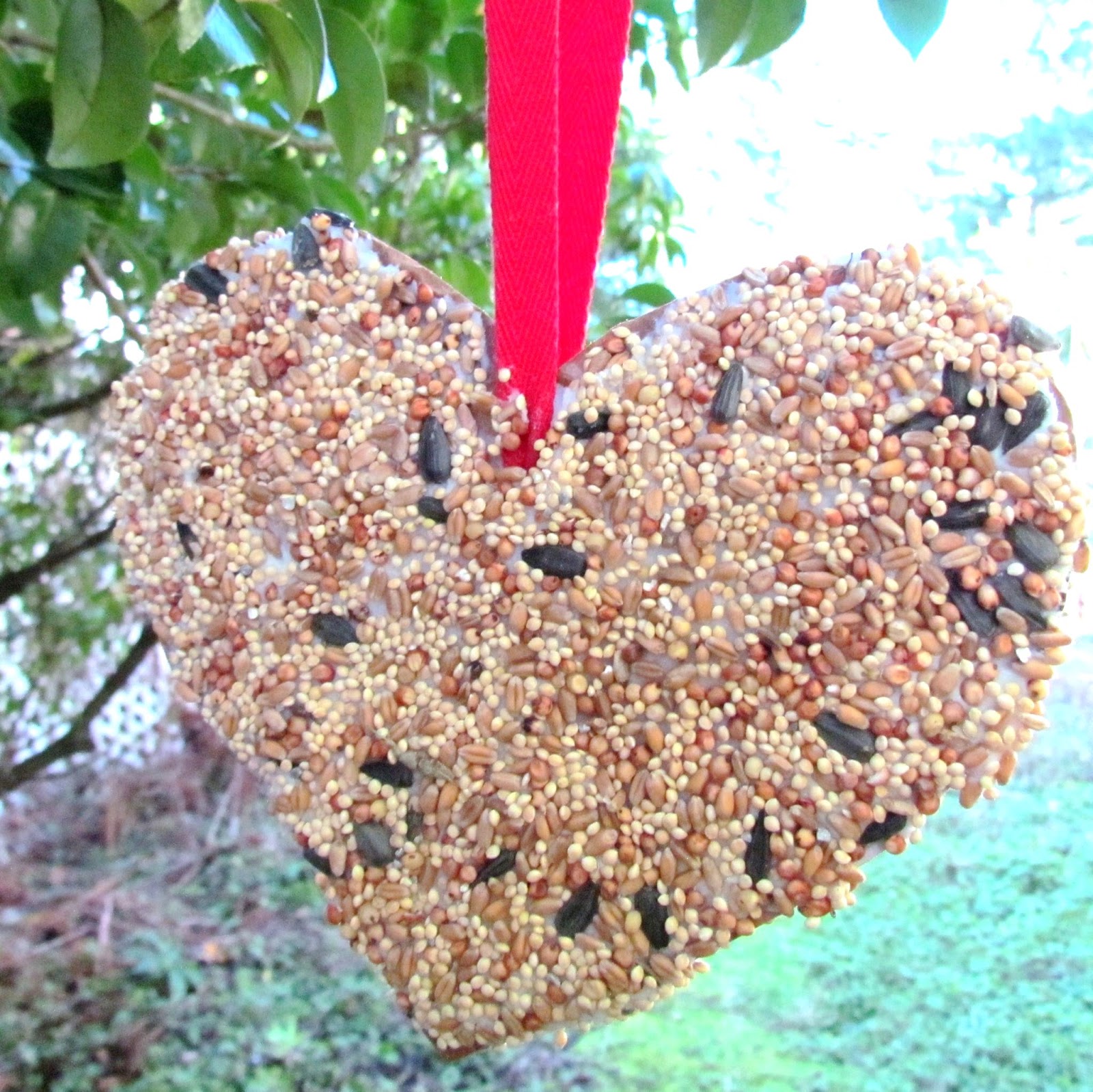 Learn To Grow DIY Valentine Heart Bird Feeder
