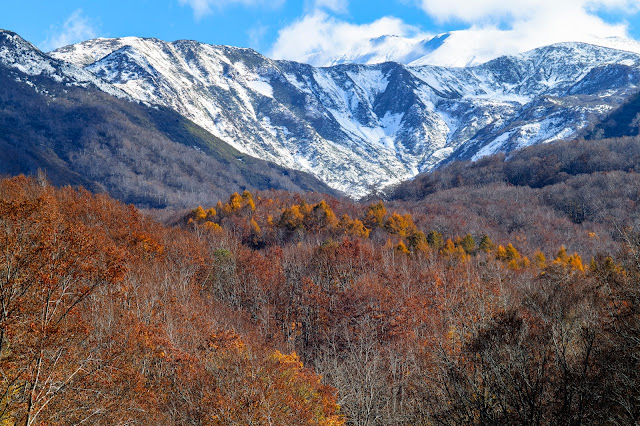 #photo #landscape #sigma #foveon #sdquattroh #japan #yamagata #tsuruoka #dewa #写真 #風景写真 #山形帝國 #山形県 #鶴岡市 #出羽