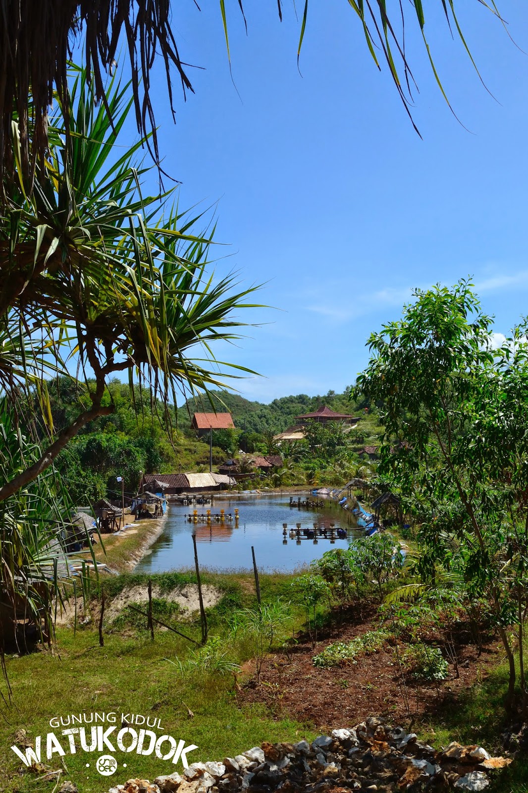 shobek: Sultan ground di pantai Watukodok