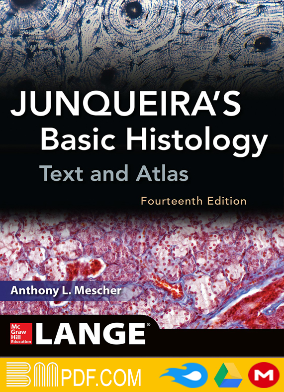 Junqueira’s Basic Histology Text and Atlas 14th edition PDF