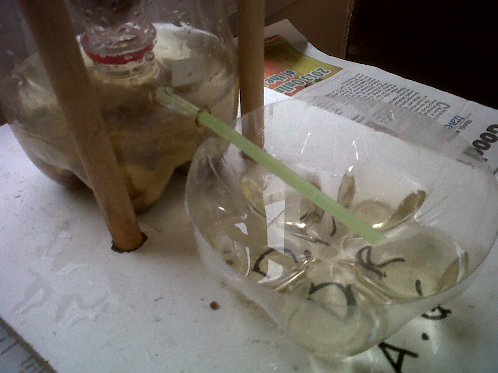 The Life Of The EcoColumn (A.Gordon, D.Rowell, D.Dell) EcoColumn