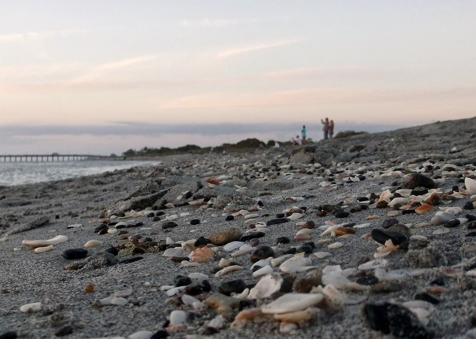 Life as a Noob Adventurer: Shark Teeth in Florida?