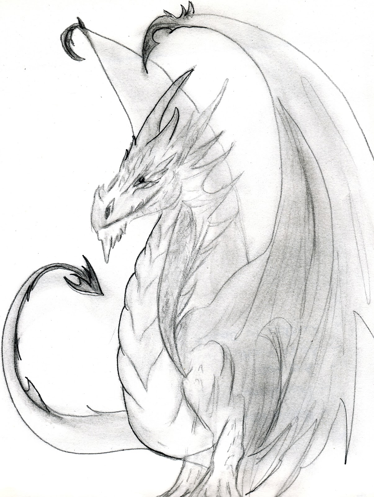 anime dragon sketch anime dragon sketch