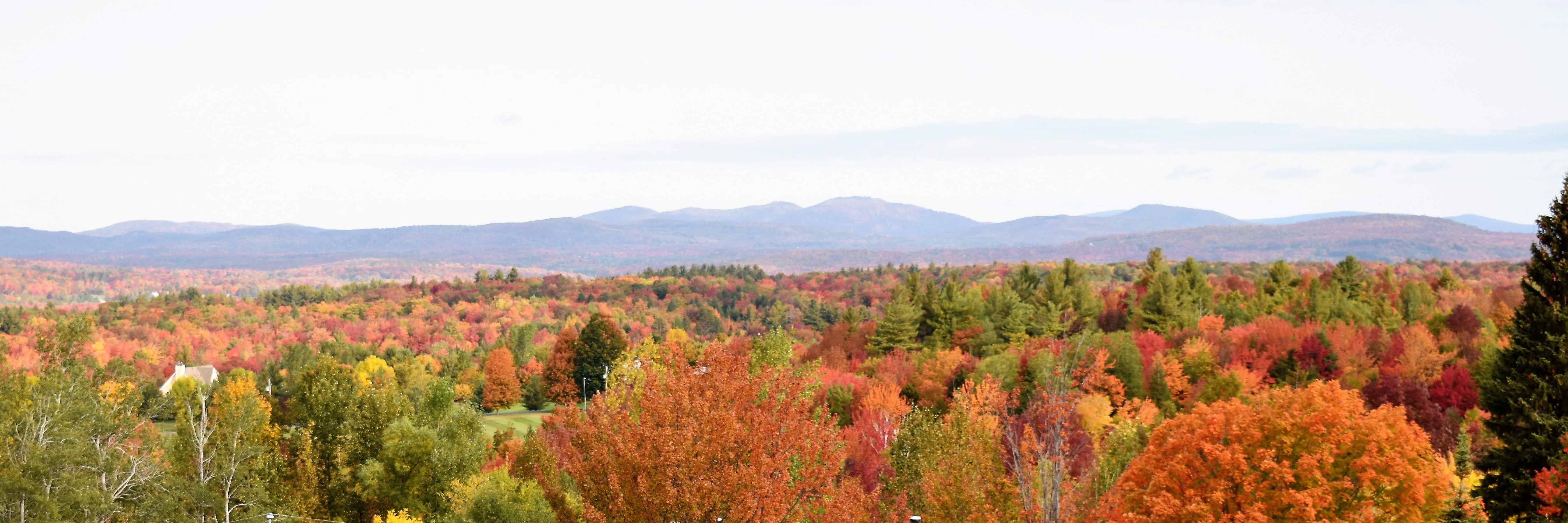 Une Fin De Semaine A Sutton