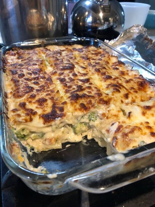 Chicken & broccoli Lasagna