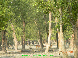 bangladesh tour of Bangladesh expeditions
