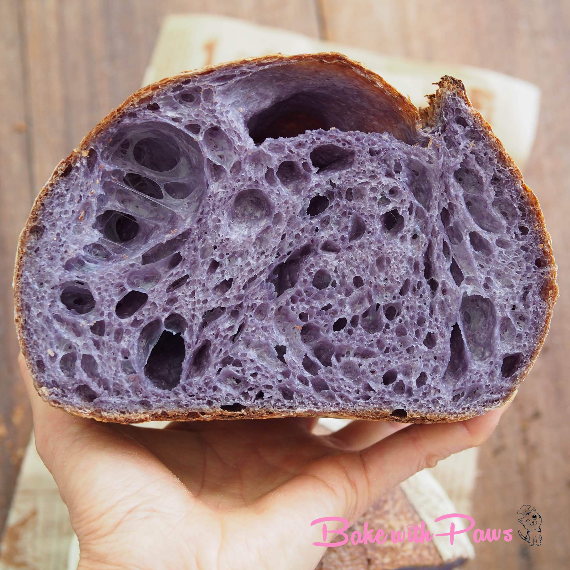 Butterfly Pea Flower Open Crumb Sourdough Bread BAKE WITH PAWS