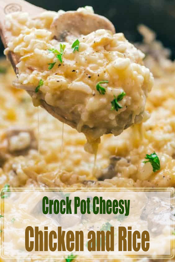 Crock Pot Cheesy Chicken and Rice to Make at Home Easy Recipes