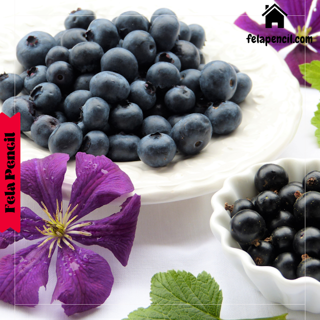 Manfaat Buah Blueberry, Bagaimana Cara Menikmati Blueberry?