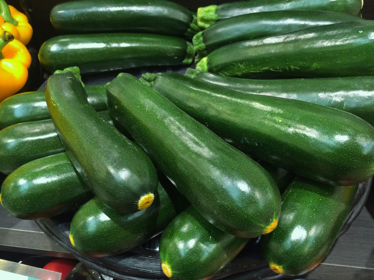 Growing Zucchini