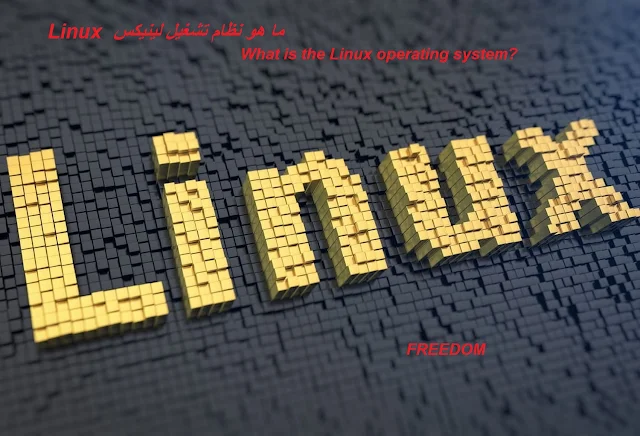ما هو نظام تشغيل لينيكس  Linux