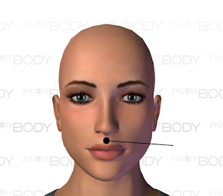 Acupressure points for Fainting