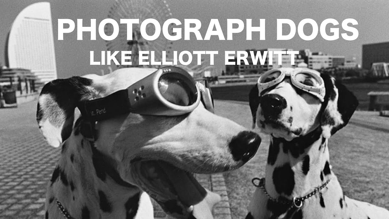 How To Photograph Dogs Like Elliott Erwitt - Photography Blog Tips