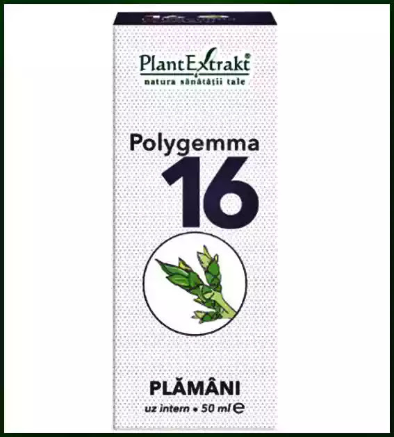 polygemma forum)