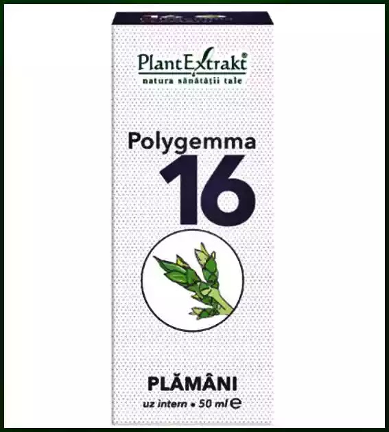 condiloame genitale femei tratament tratamiento para papilomatosis canina
