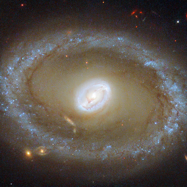 Spiral Seyfert Galaxy NGC 3081