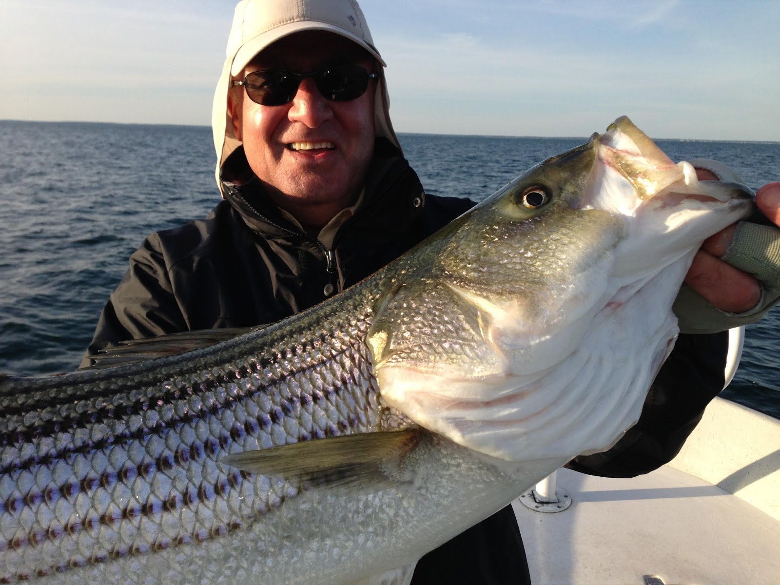 Maine Striped Bass Fishing 2013 Season Producing Stripers On The Fly