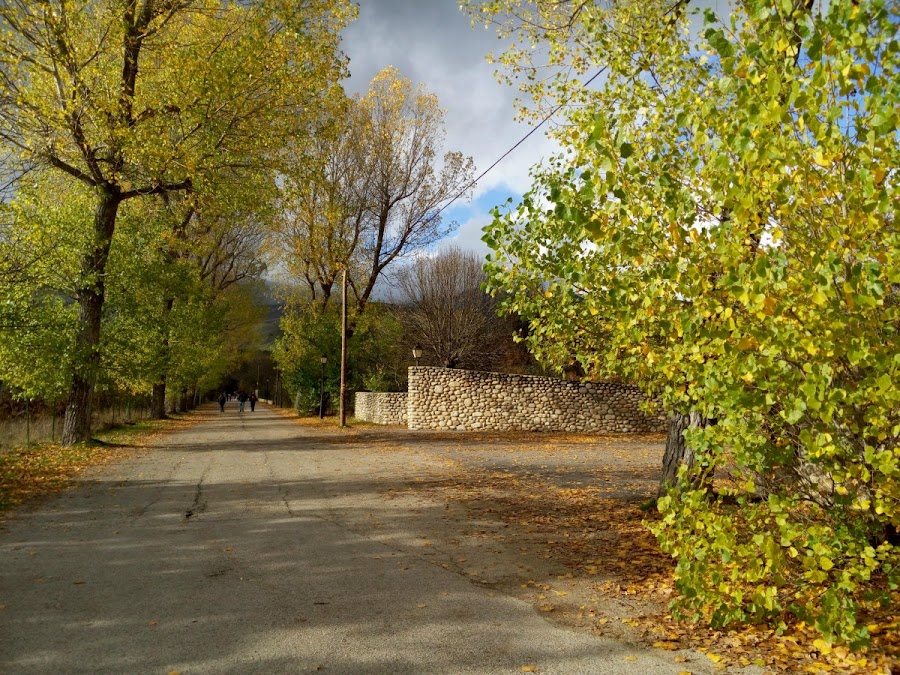 Paseo-hacia-monasterio-de-el-Paular