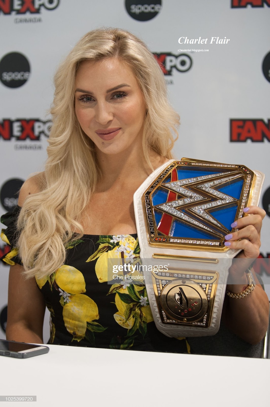 Top 10 WWE Women's wrestlers in the world