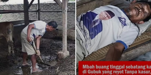 Hidup di Gubuk Reyot Tanpa Kasur dengan Bantal Karung, Ini Kisah Pilu Kakek Gembala Sapi yang Diupah Kecil