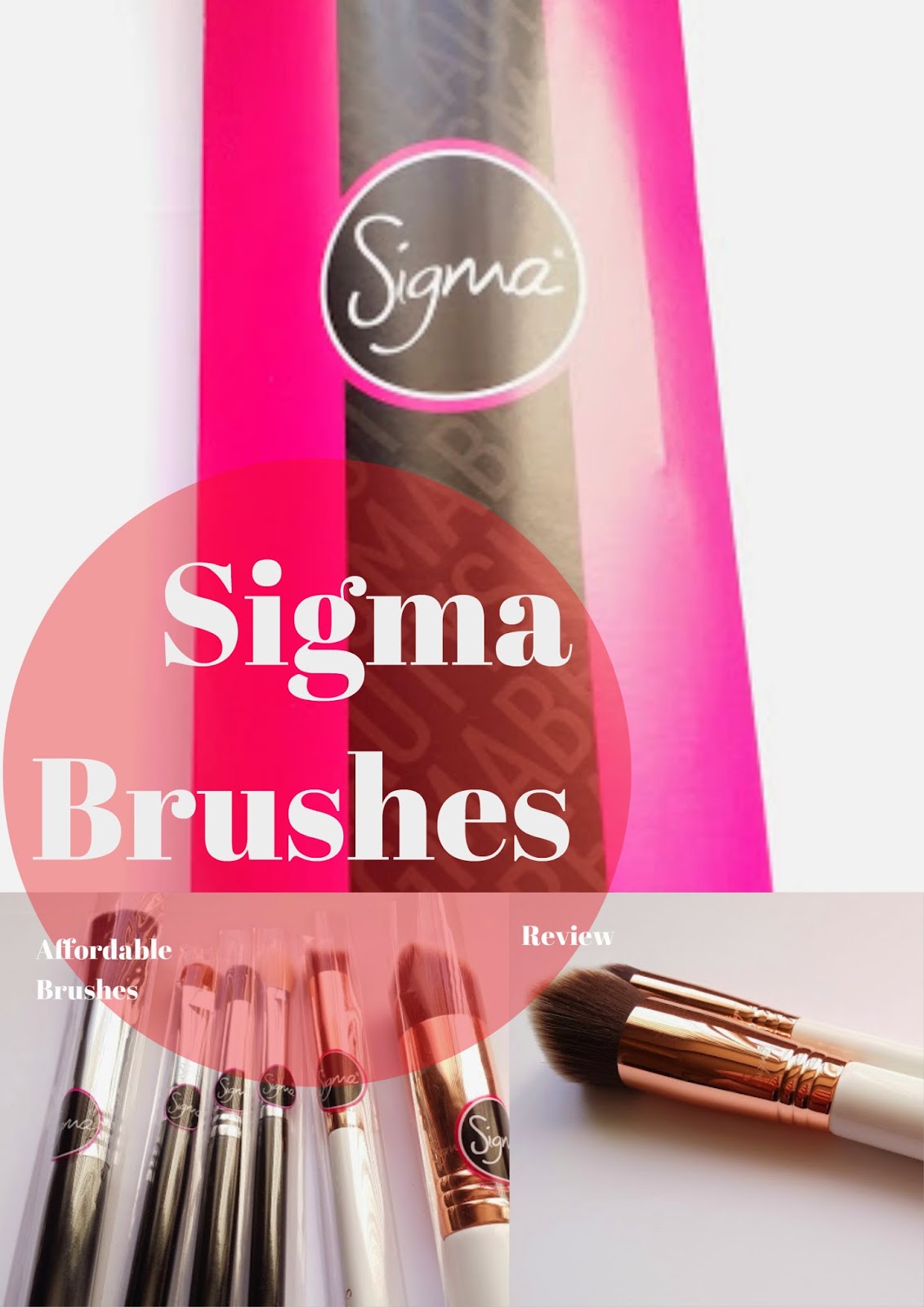 Cdel Beauty Sigma Brushes Is it Worth the Hype!?