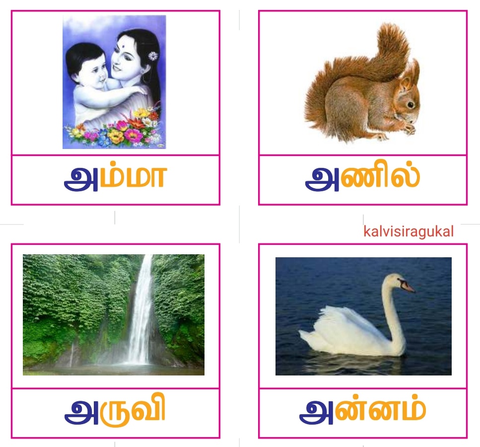 Tamil Vowel Letters Flash Cards Kalvisiragu Study Materials