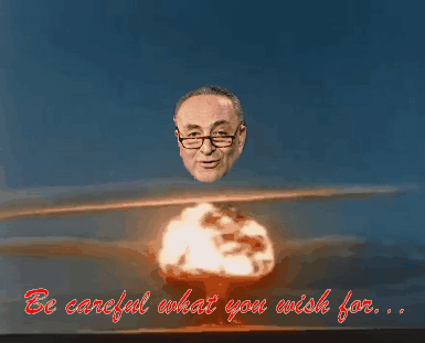 ebl chuck schumer warns trump to nominate a \ Going%2Bnuclear%2Bfor%2BSchumer ebl chuck schumer warns trump to nominate a \