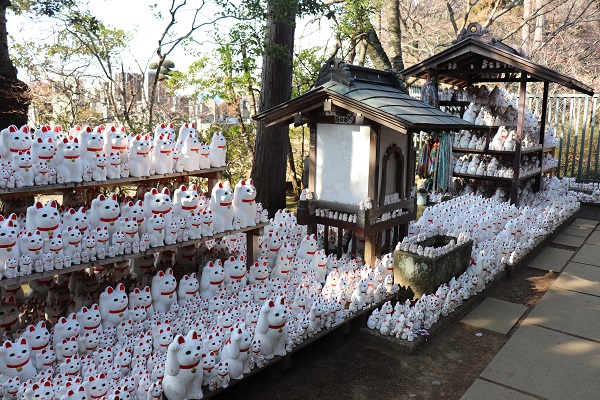 วัดโกโตคุจิ (Gotokuji Temple: 豪徳寺) @ Japan Freak Tokyo