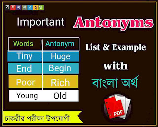 Important Antonyms List with Bengali Meaning and Example PDF for wbcs,ptet,ctet,ssc,bcs,cgl