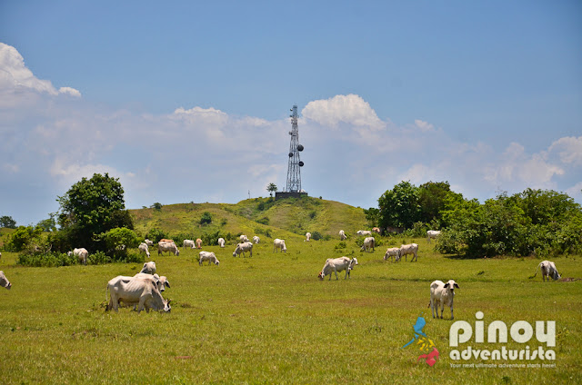 Top Best Things to do in Masbate