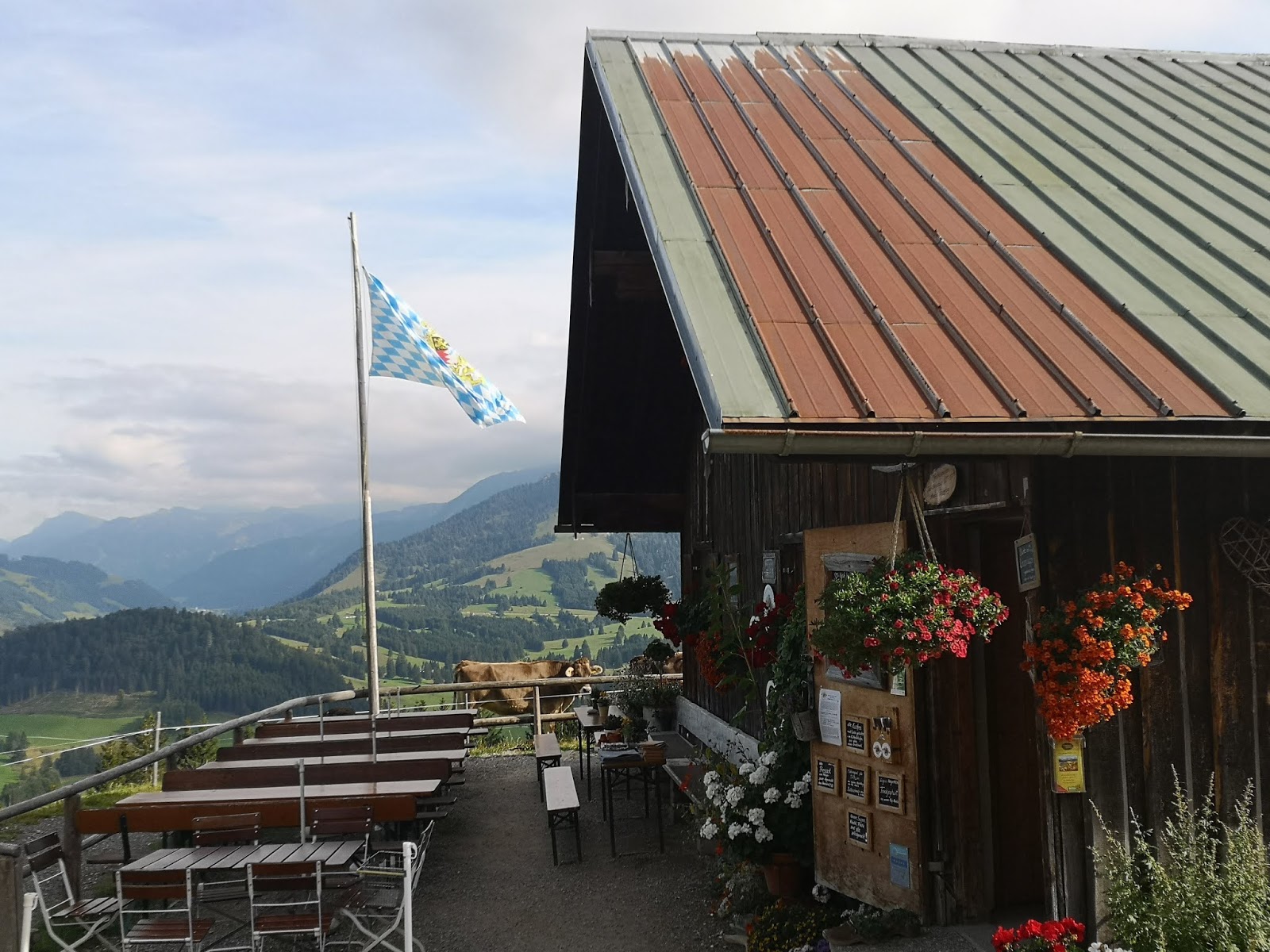 Kanzelwand Gipfel Oberstdorf Oberallgau Wandertipps Fotos