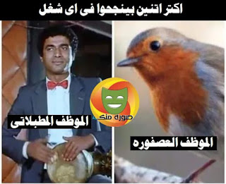 أحلي بوستات مزخرفة للفيس أحلي بوستات مزخرفة للفيس