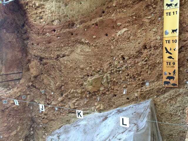 Yacimiento de Atapuerca - Caravaneros.com