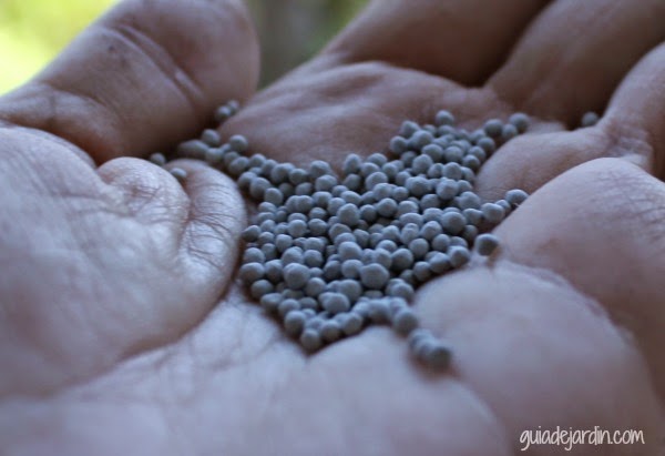 Paso a paso: Resembrando en primavera las zonas dañadas del césped
