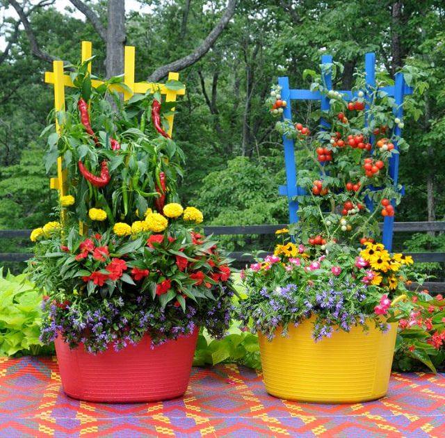 Trellised Containers for Inspiration Subtropical Gardening