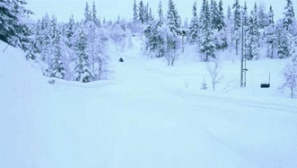 daily_gifdump_3495_10.gif