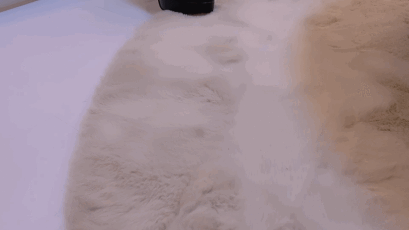 검정 스타킹 각선미 - 디쁠