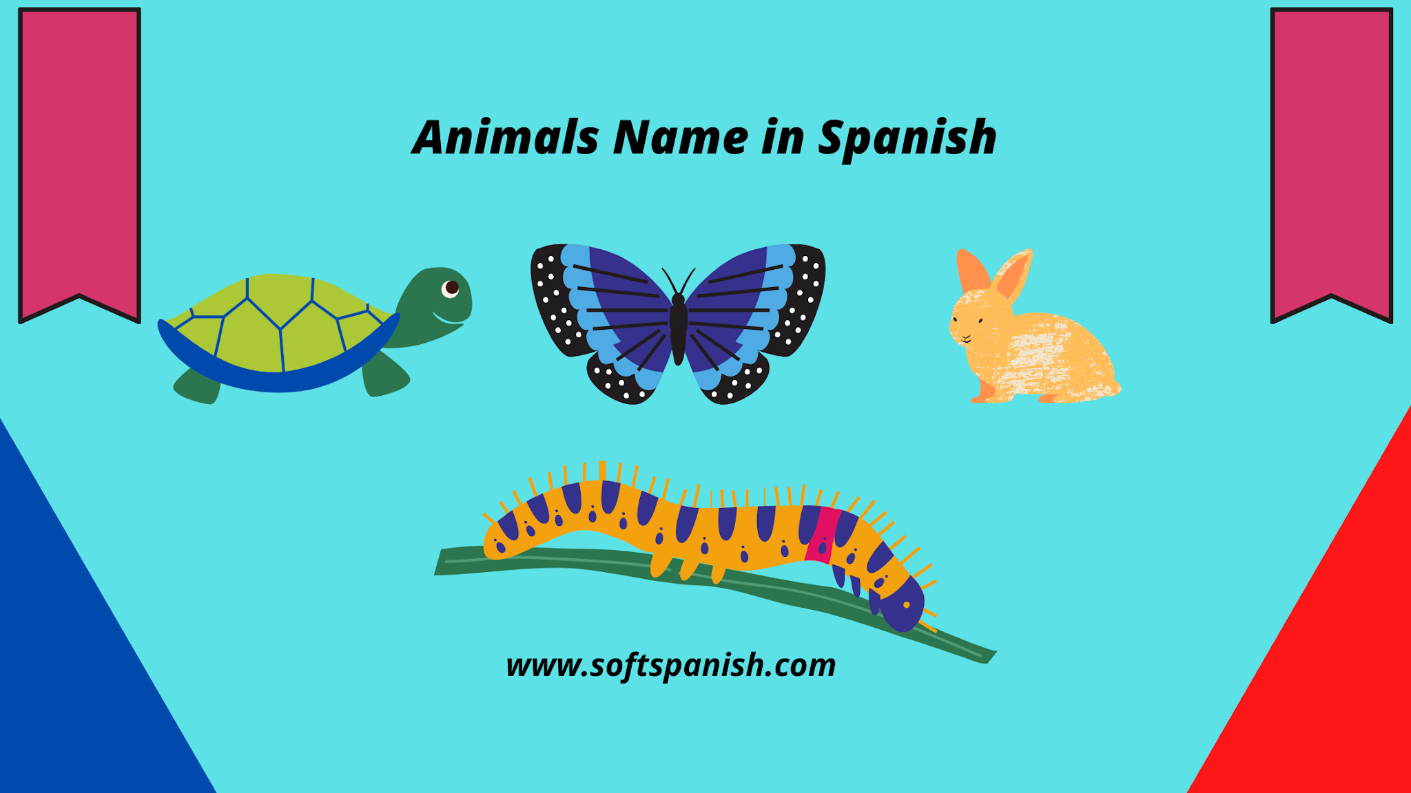 Soft Spanish- Learn Spanish Online: Animals name in Spanish