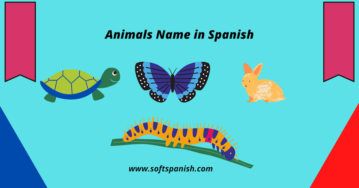 Animals name in Spanish
