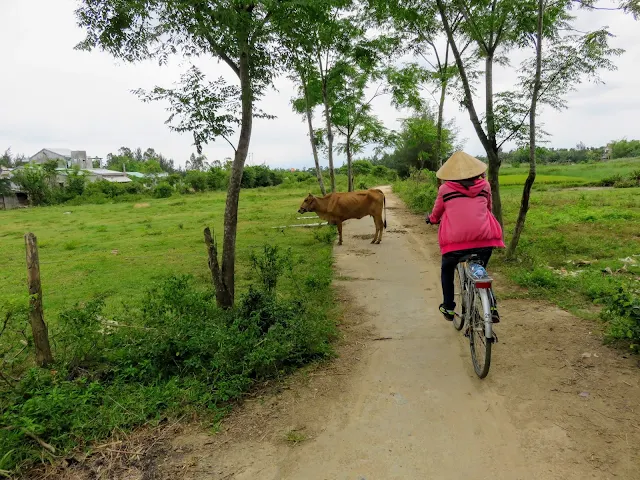 Cycling near Hoi An with Heaven and Earth Bicycle Tours in Vietnam