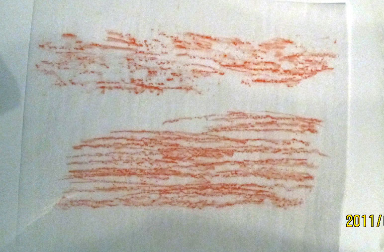 Terri Gottscho Lipman Stone wall rubbings