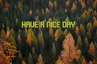 have a nice day images