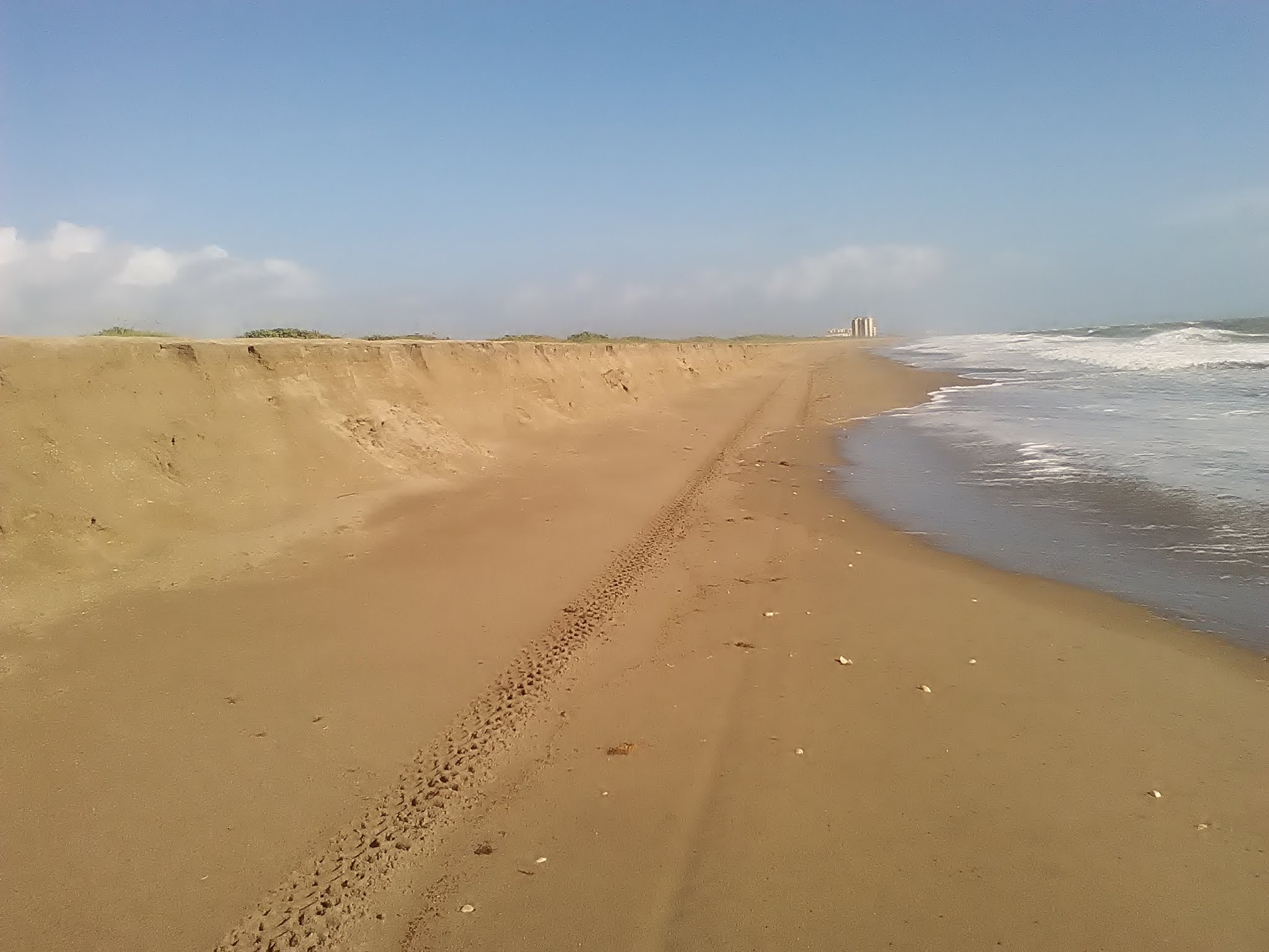 Treasure Beaches Report Pt. 2. (2020 and Beyond). 8/24/20 Report