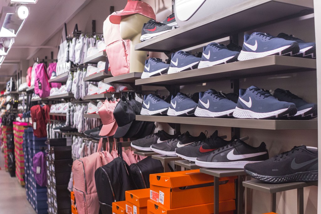 studio z santa catarina