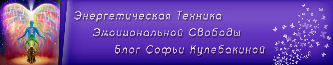 Энергетическая Техника Эмоциональной Свободы блог  Софьи Кулебакиной