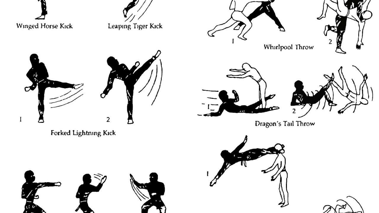 How To Fight Karate Moves Karate Choices