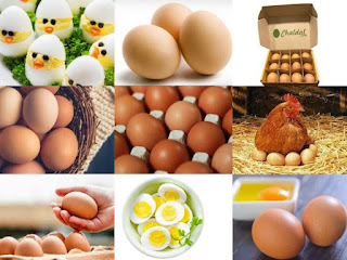 eggs,benefits of eggs, eggs nutrition,rich food,protein, suger,affection, energy