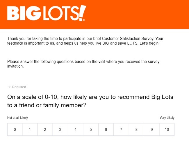 big lots survey.com