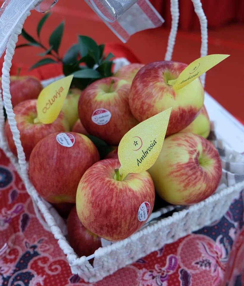 Malaysian Lifestyle Blog New Zealand Luv'Ya Ambrosia Apples With A